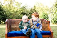 Henry | 2024 Fall Mini Sessions