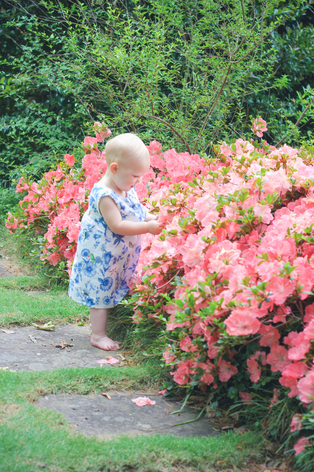 Athens GA Georgia Photos Photographer Toddler Children Founders Memorial Garden