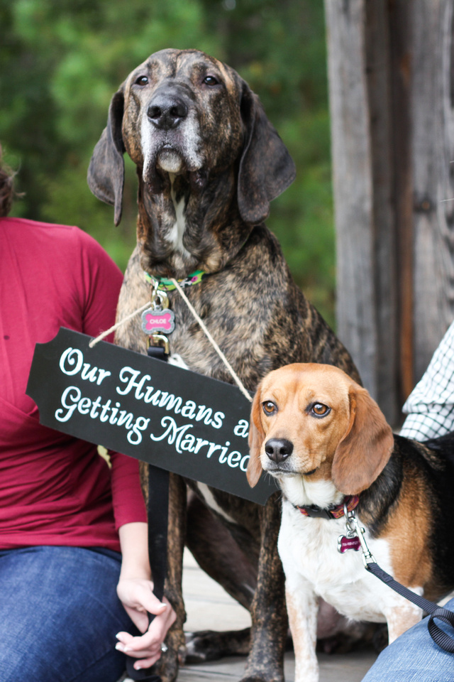 Madison Georgia Engagement Session Photographer Amanda Lynn Photography