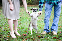 Chapman Family | Athens, GA | Amanda Lynn Photography