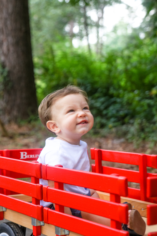 Jackson | One Year Old | Winder, GA