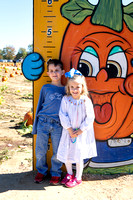 Pumpkin Patch | 2023