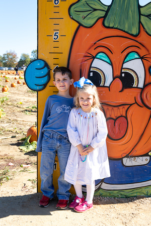 Pumpkin Patch | 2023