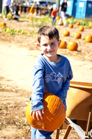 Pumpkin Patch | 2023