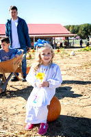 Pumpkin Patch | 2023