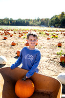 Pumpkin Patch | 2023