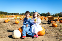 Pumpkin Patch | 2023