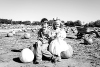 Pumpkin Patch | 2023