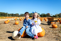 Pumpkin Patch | 2023