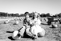 Pumpkin Patch | 2023