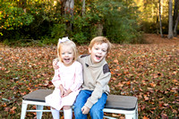 Pearson | 2023 Fall Mini Session