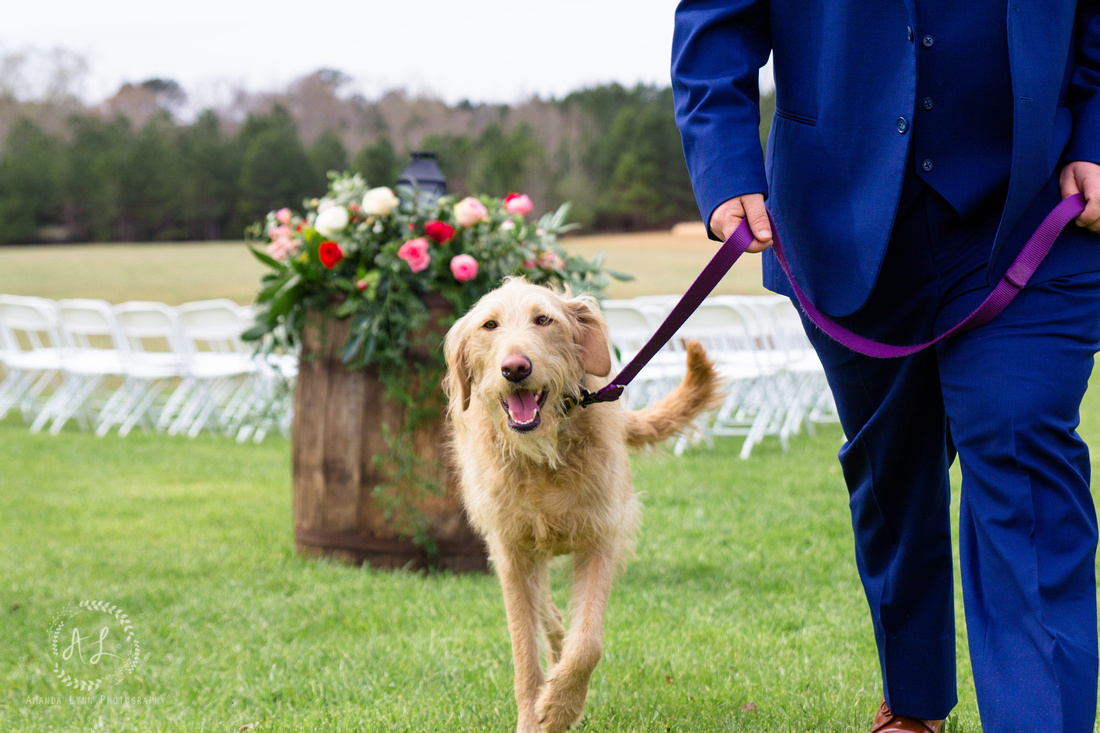 Brianna and Zac | Wedding | Abbeville, SC