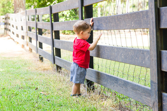 Cooper James | 17 months | UGA