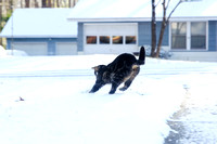 Cooper James | Snow Day | January 2018