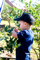 Blueberry Picking | Seawright Family | Watkinsville, GA