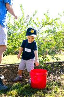 Blueberry Picking | Seawright Family | Watkinsville, GA