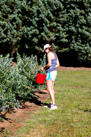 Blueberry Picking | Seawright Family | Watkinsville, GA