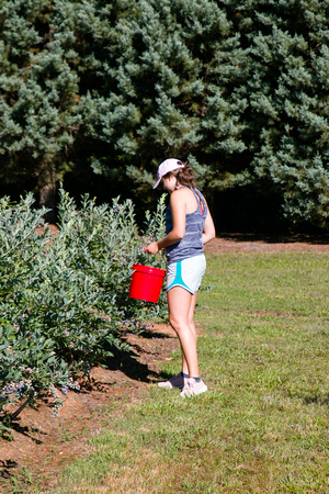 Blueberry Picking | Seawright Family | Watkinsville, GA