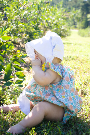 Blueberry Picking | Seawright Family | Watkinsville, GA