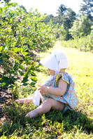 Blueberry Picking | Seawright Family | Watkinsville, GA