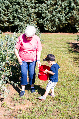 Blueberry Picking | Seawright Family | Watkinsville, GA