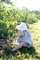 Blueberry Picking | Seawright Family | Watkinsville, GA