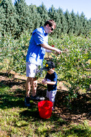 Blueberry Picking | 2021