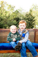 Henry | 2024 Fall Mini Sessions