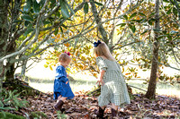 Wilson | 2024 Fall Mini Sessions