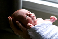 Brandt | Newborn